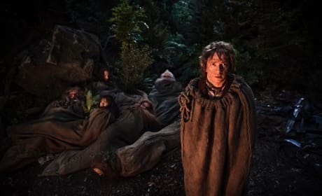 Bilbo The Hobbit An Unexpected Journey