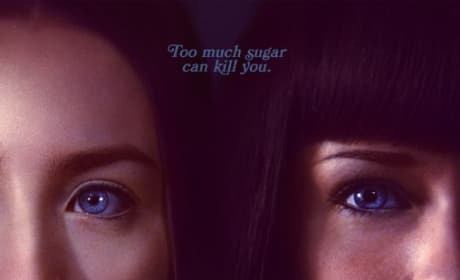 Violet and Daisy Poster