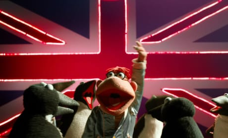Muppets Most Wanted Still
