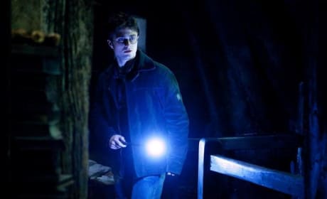 Three New Harry Potter and the Deathly Hallows Images Surface!