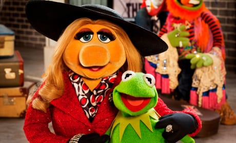 Muppets Most Wanted Kermit Miss Piggy