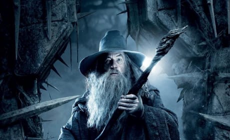 The Hobbit The Desolation of Smaug Gandalf the Grey Poster