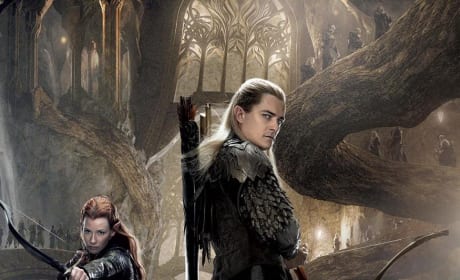 The Hobbit: The Desolation of Smaug Elves Poster