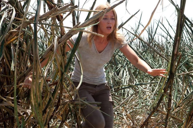 Looper Still Emily Blunt
