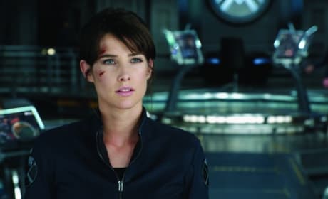 The Avengers Star Cobie Smulders