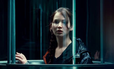 Who Should Be the Director of Catching Fire?