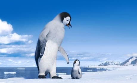 The Cast of Happy Feet 2