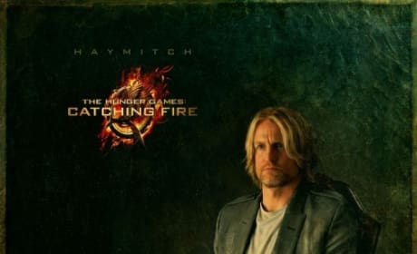 Catching Fire Haymitch Portrait