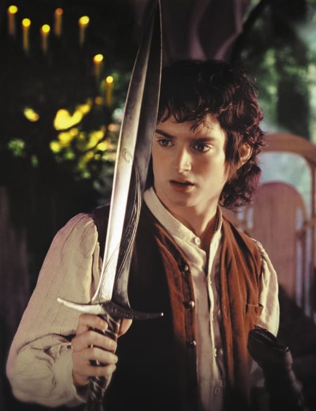 The Lord of the Rings Elijah Wood
