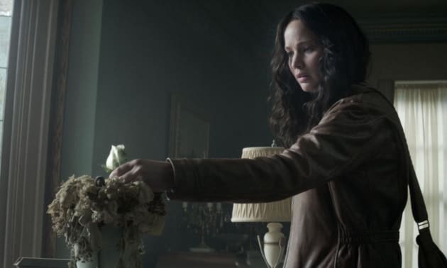 Mockingjay Part 1 Jennifer Lawrence Stars