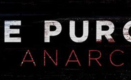 The Purge Anarchy Banner