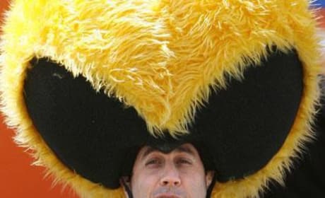 Jerry Seinfeld Buzzes About Bee Movie