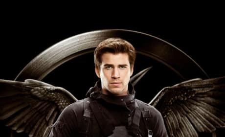 Mockingjay Part 1 Gale Character Poster
