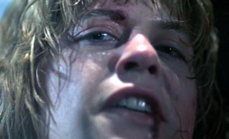 The Terminator Linda Hamilton