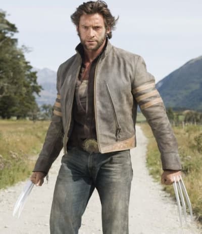 Photo of Wolverine