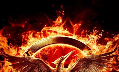 The Hunger Games: Mockingjay - Part 1