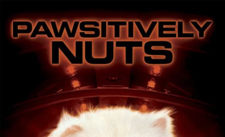 Cats and Dogs Pawsitively Nuts Poster