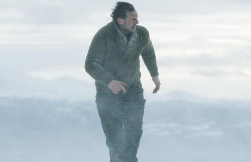 The Grey: Liam Neeson Stars