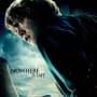 Ron Deathly Hallows Character Poster