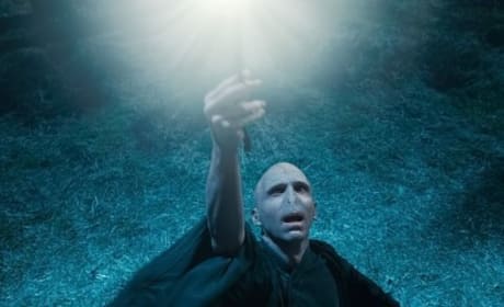 Harry Potter and the Deathly Hallows Sets Franchise Record