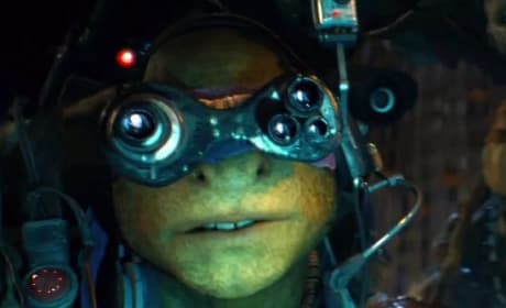 Teenage Mutant Ninja Turtles Raphael Still