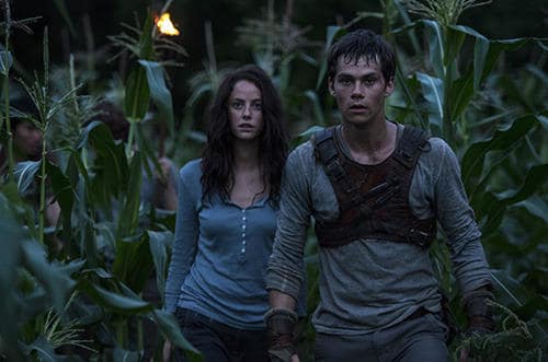 The Maze Runner Dylan O'Brien Kaya Scodelario