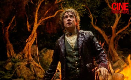 Bilbo Baggins The Hobbit Image