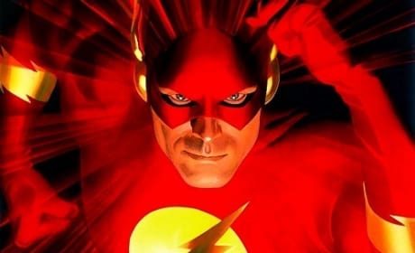 The Flash Picture