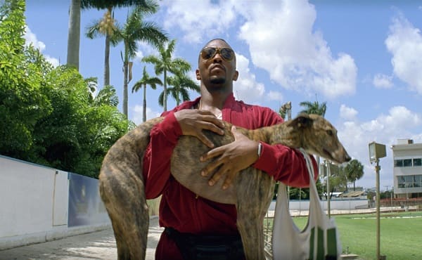 Anthony Mackie Pain and Gain