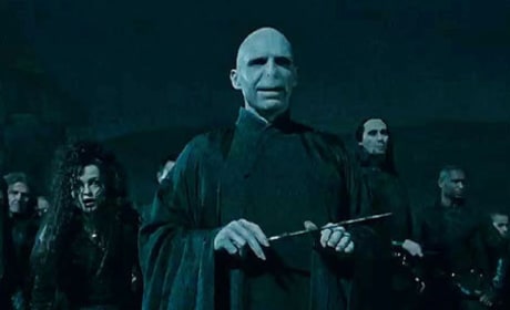 Voldemort Sure is Fugly