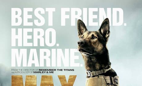 Max Movie Poster