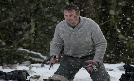 Weekend Movie Preview: January 27, 2012