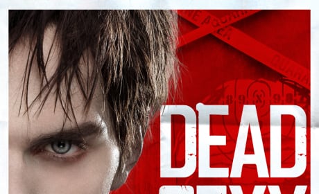 Warm Bodies Dead Sexy Poster