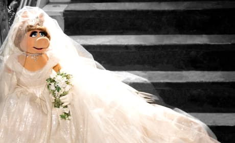 Muppets Most Wanted Miss Piggy Wedding Dress