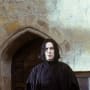 Professor Severus Snape Picture
