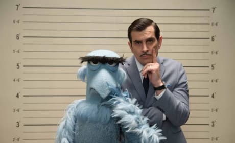 Muppets Most Wanted Star Ty Burrell
