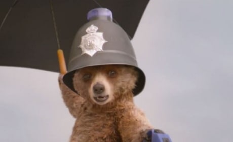 Paddington Trailer: A Pinch of Chaos