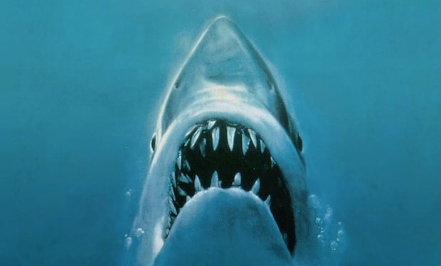 The Shark in Jaws
