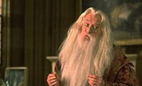 Albus Dumbledore Picture