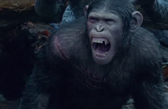 Dawn of the Planet of the Apes Photo Still