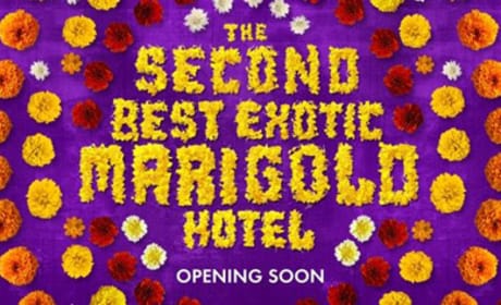 The Second Best Exotic Marigold Hotel Banner