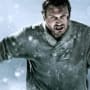 The Grey Movie Review: Liam Neeson Astounds