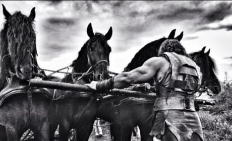 Hercules: Check out Dwayne Johnson’s Chariot! 