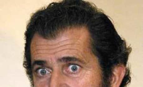 Mel Gibson to Appear in The Hangover 2
