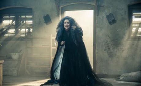 Into the Woods Review: Meryl Streep Hits All the Right Notes (Again) 