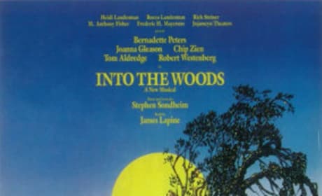 Into the Woods Looks to Add Johnny Depp and Meryl Streep