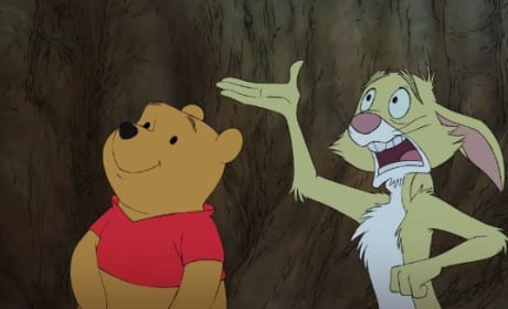 Winnie the Pooh and Rabbit