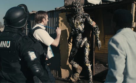 District 9 Scares Up Major Box Office Haul