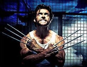 The New Wolverine