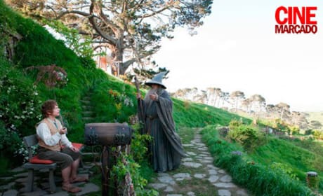 Bilbo and Gandalf in The Hobbit